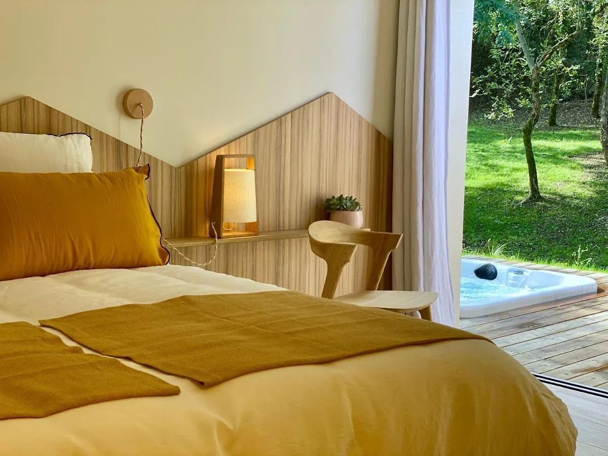 Chambres Avec Jacuzzi Privatif - Kassiopee Bed & Spa Albi 2*,