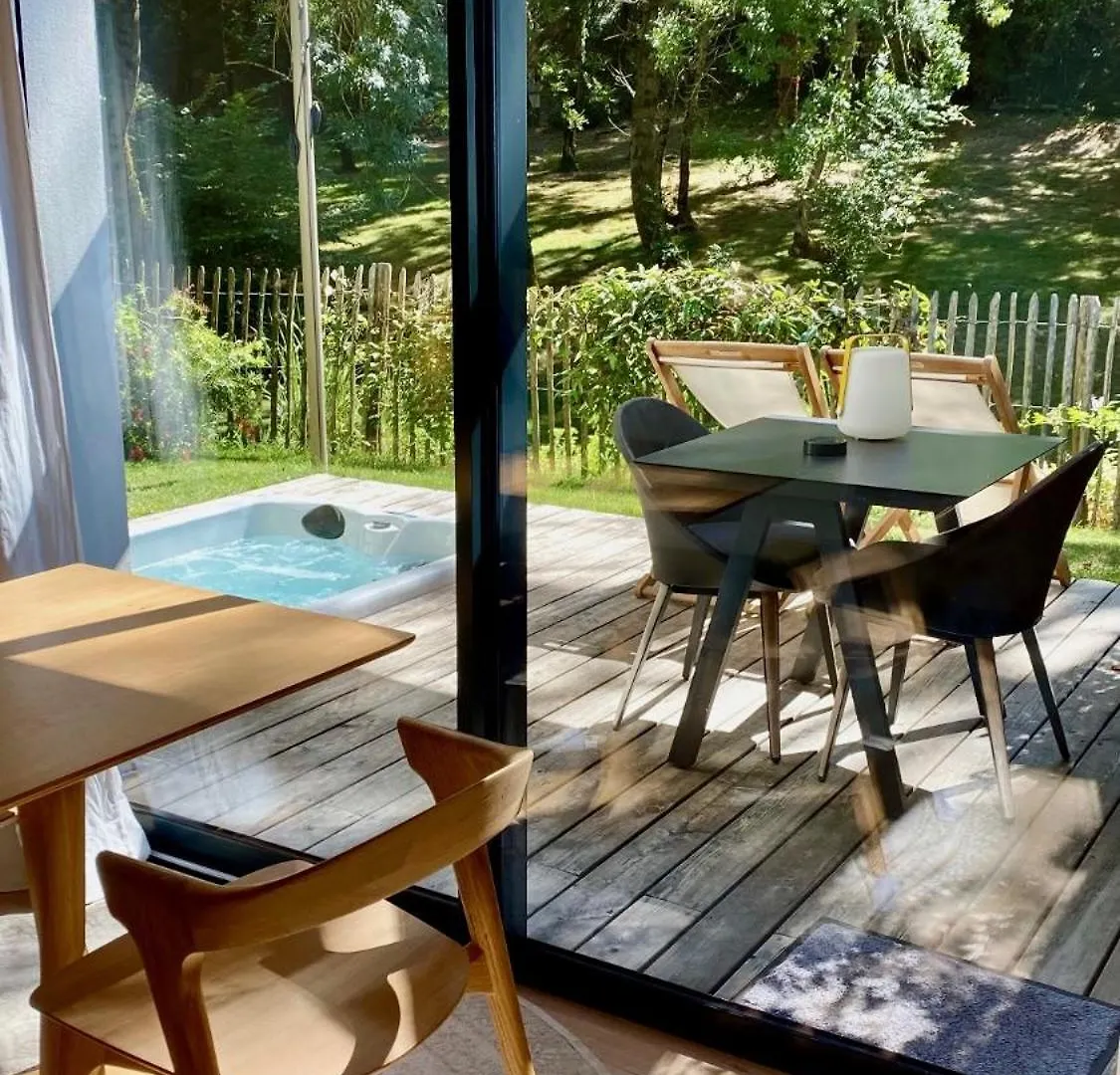 ** Guest house Chambres Avec Jacuzzi Privatif - Kassiopee Bed & Spa Albi France